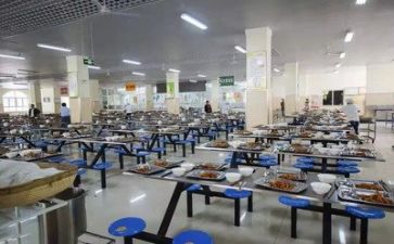 进食堂心得体会7篇