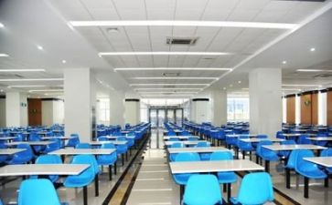 食堂采工作总结5篇