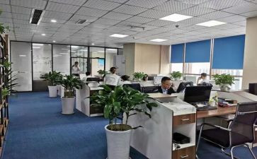 事务所助理个人总结6篇