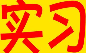 实习出纳的心得体会模板5篇