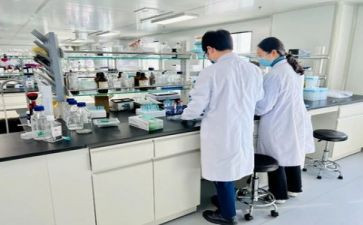 2022实验室工作计划6篇