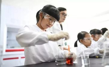 学校实验室工作总结通用8篇