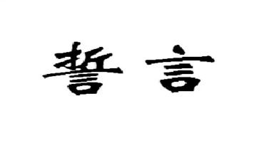 一生誓言心得体会8篇
