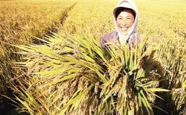 收获的心得优质5篇