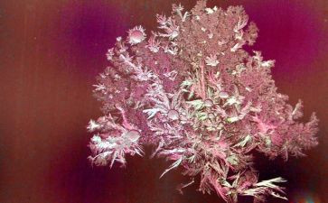 霜的工作的读后感推荐7篇