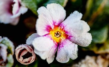 霜的工作的读后感参考7篇