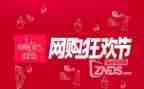 双11客服工作总结优质5篇