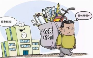 教师落实双减政策心得体会5篇