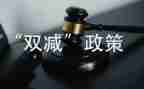 学校双减工作总结范文6篇