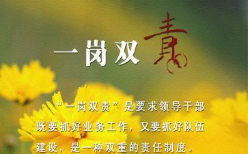 2024年一岗双责述职报告5篇