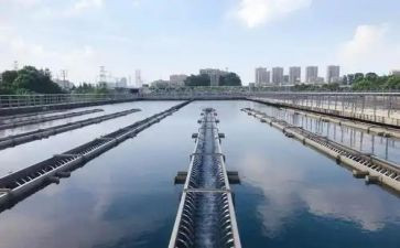 2024水厂个人年度总结范文6篇