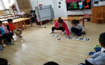 数学活动分类教案8篇
