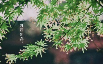 2024年四月思想汇报5篇