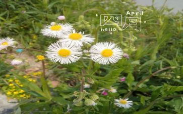 四月心得体会8篇