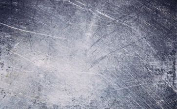 素材网作文200字模板5篇