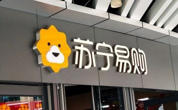2023年苏宁工作总结7篇