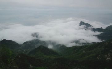 生命生命重于泰山心得体会6篇