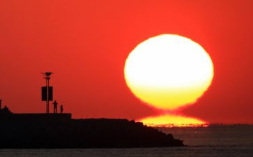 太阳读后感5篇