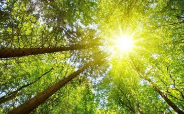 太阳能路灯安装合同6篇