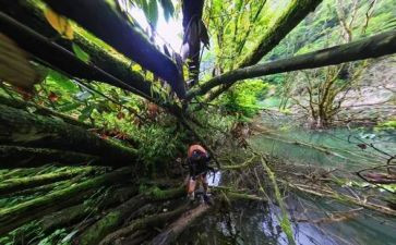 神探险之旅作文通用8篇