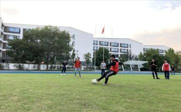 学校体卫处工作计划5篇