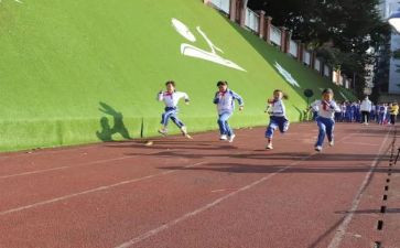 小学体艺21工作计划8篇