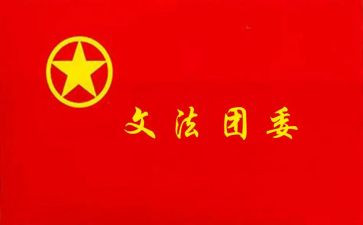 乐都县团委工作总结优质6篇