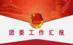 党团委工作计划优秀5篇