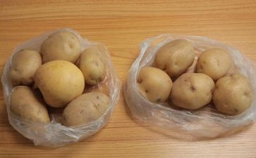 种土豆作文最新7篇
