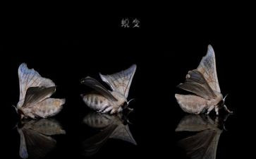 警示教育《蜕变》心得体会7篇