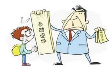 办退学申请书精选7篇