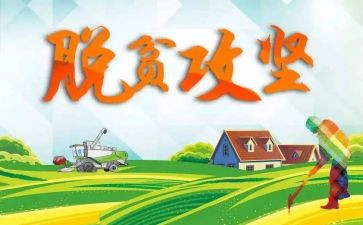 村脱贫工作总结6篇