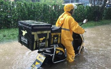 叫外卖利与弊调查报告5篇