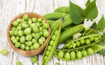 读豌豆公主读后感8篇