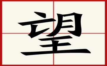 回望2024作文通用7篇