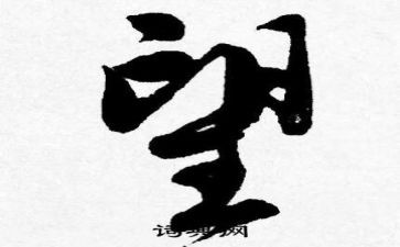 我的愿望六年级作文5篇