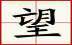 我盼望作文800字作文7篇