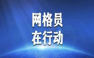 乡镇网格管理工作总结6篇