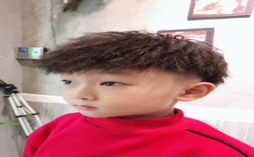 狼王子读后感作文优秀5篇