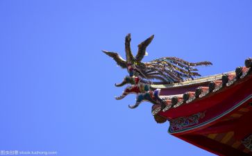 月文化作文最新6篇