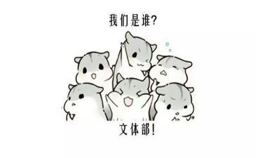 2023社区文体工作总结6篇