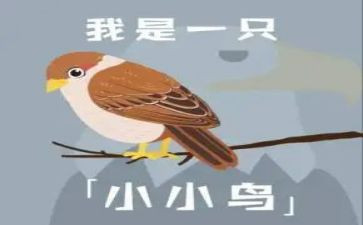 小鸟飞幼儿教案5篇