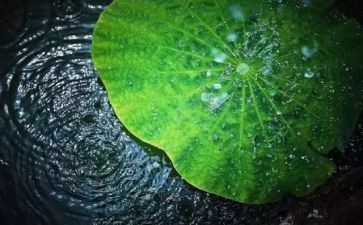 我在变作文记叙文作文推荐7篇