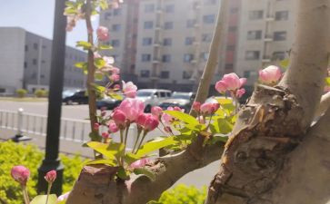 我在变作文1000字最新8篇