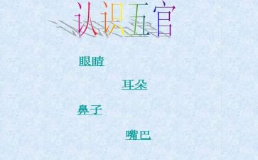 2024五官科护理工作总结8篇