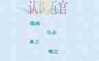 五官作文作文推荐6篇