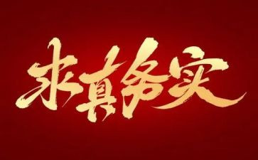 务实点工作总结7篇