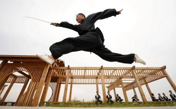 武术工作计划7篇