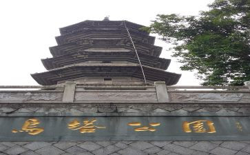 乌塔的读后感400字5篇