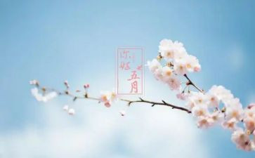 幼儿园大班五月工作总结7篇